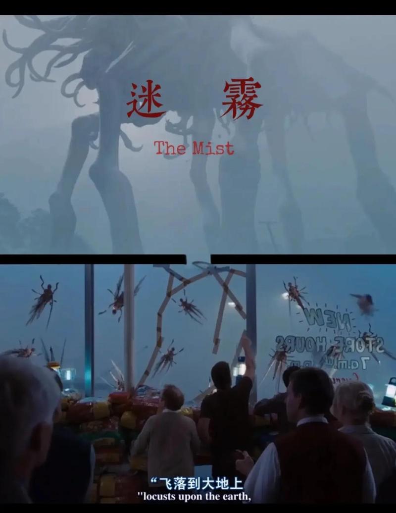 暗黑2迷雾和信心哪个好