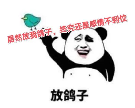 手上躺了一只鸽子表情包截图3