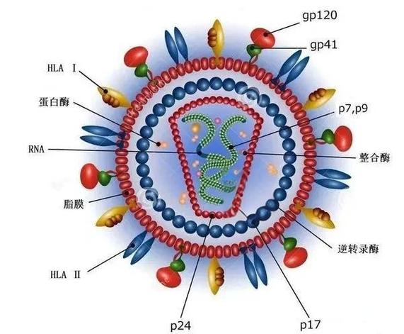 所有的病毒都是对人体有害的吗