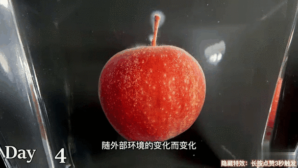 苹果拍摄会动的照片的方法