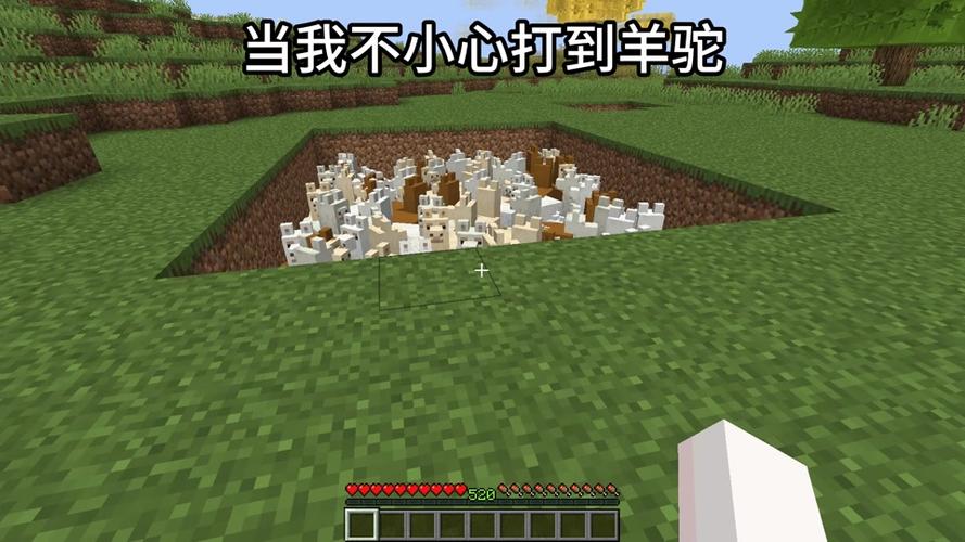 我的世界怎么骑羊驼截图3