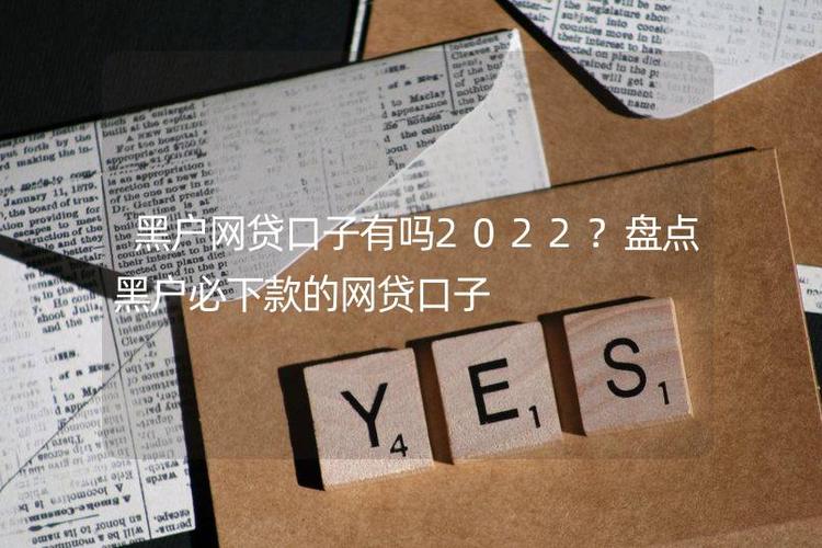 黑网贷有哪些口子截图3