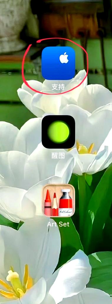 苹果电池寿命查询软件