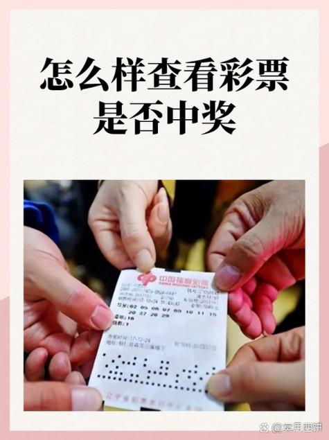 彩票怎么看自己中了没