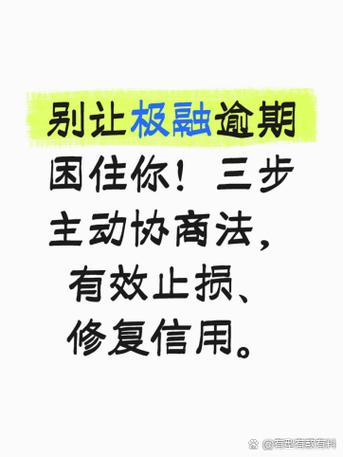 极融借款逾期了怎么办