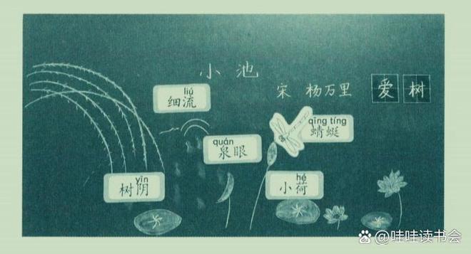 古诗《小池》全部解释