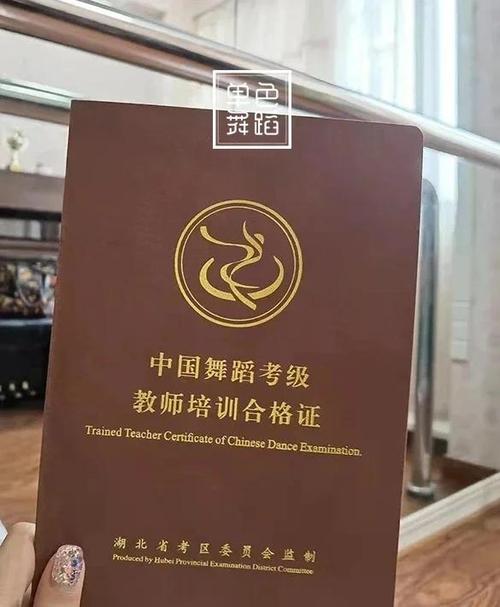舞蹈考级证书查询入口
