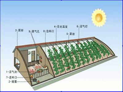 生态种植模式及配套技术
