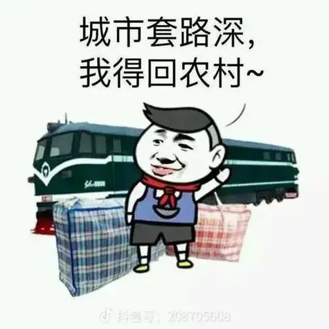 我想回农村的上一句