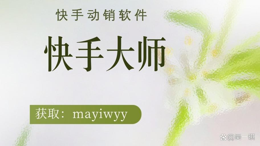 快手大师