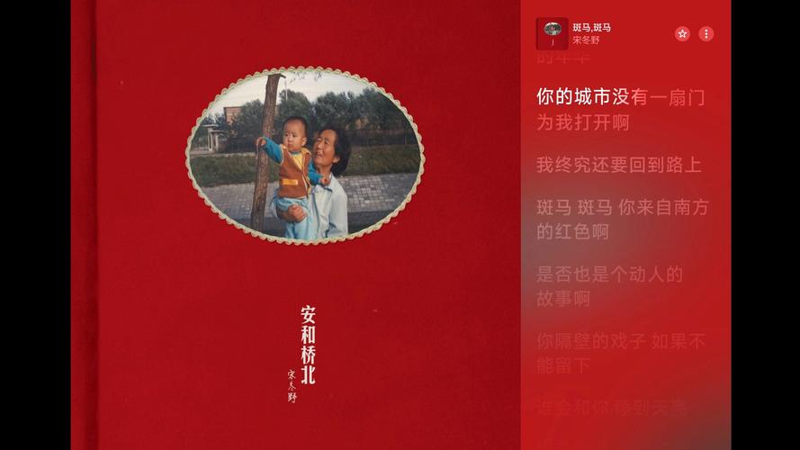 斑马斑马宋冬野下载