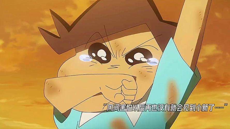 蜡笔小新墨西哥回来了吗