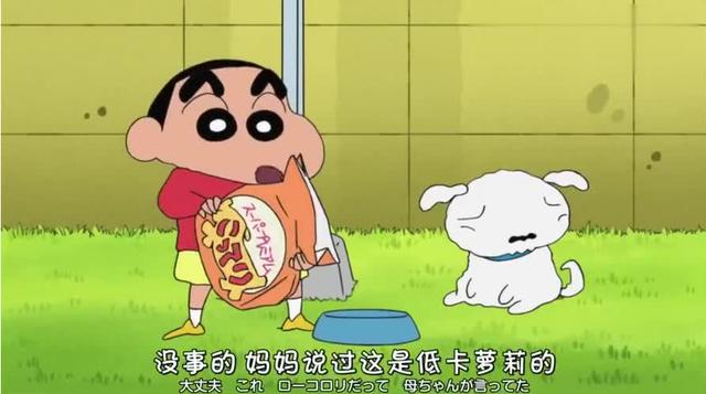 蜡笔小新墨西哥回来了吗截图2