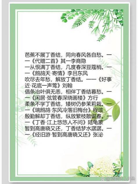 丁香的绝美佳句