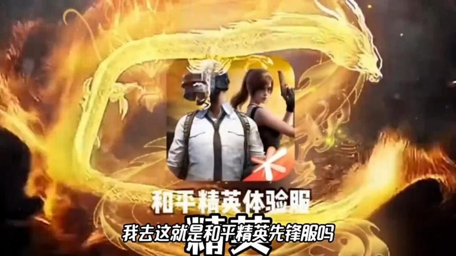 和平精英(先锋服)