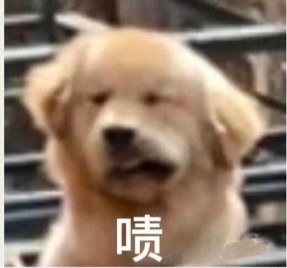 啧啧啧的表情包