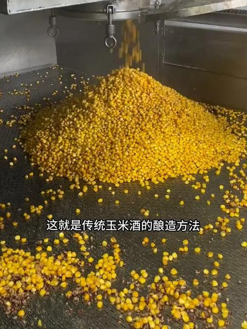 100斤玉米能酿多少酒截图2
