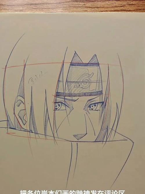 8步画完简单鼬全身