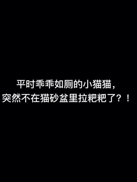 猫不在猫砂盆里尿是什么原因截图2