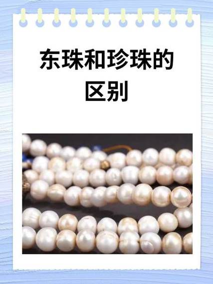 东珠价格一览表大全