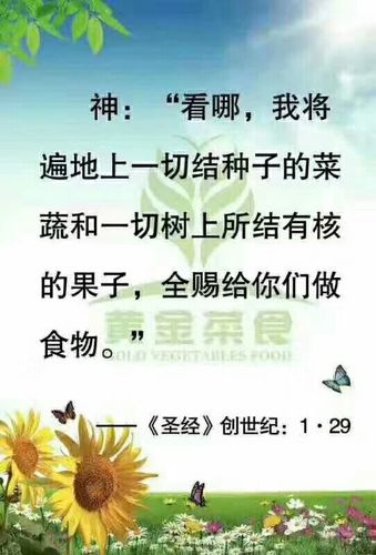 圣经解释大全