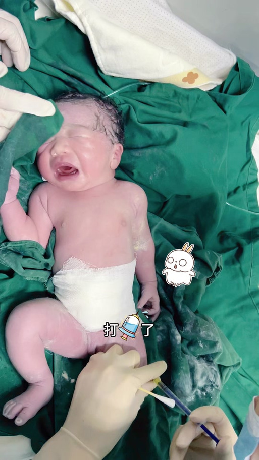 婴儿是人类幼崽吗