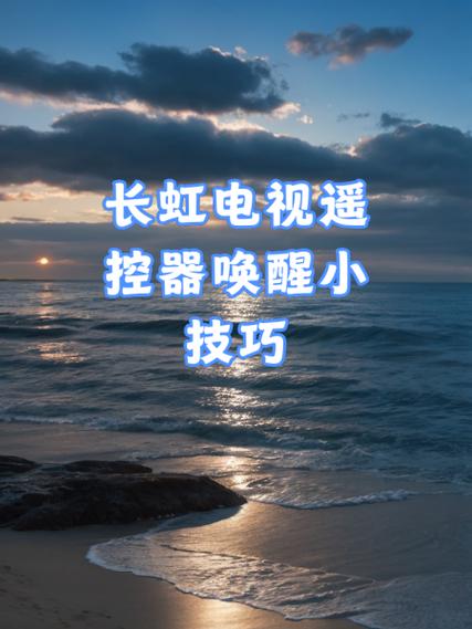 长虹电视语音功能失灵
