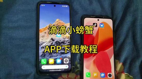 滴滴小螃蟹怎么下载
