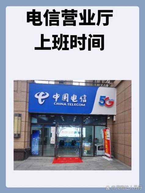 星期天电信营业厅上班吗?