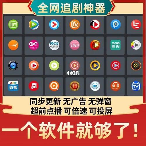 大师兄TV版激活码分享