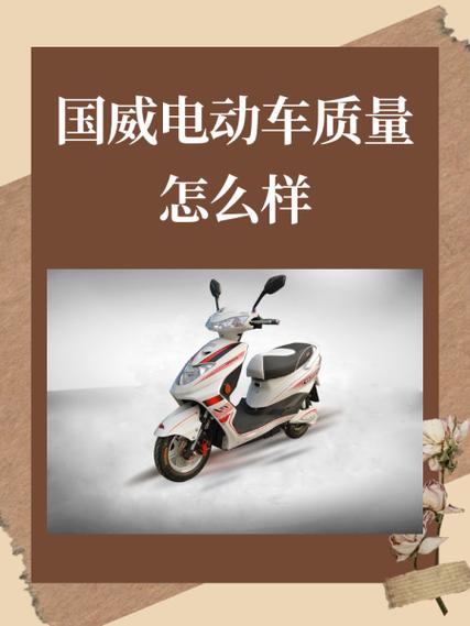 国威电动车排名第几
