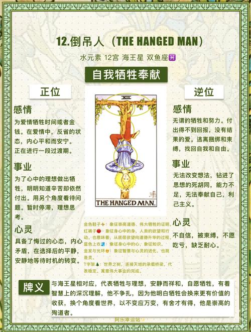 莫呼洛迦暗示啥意思