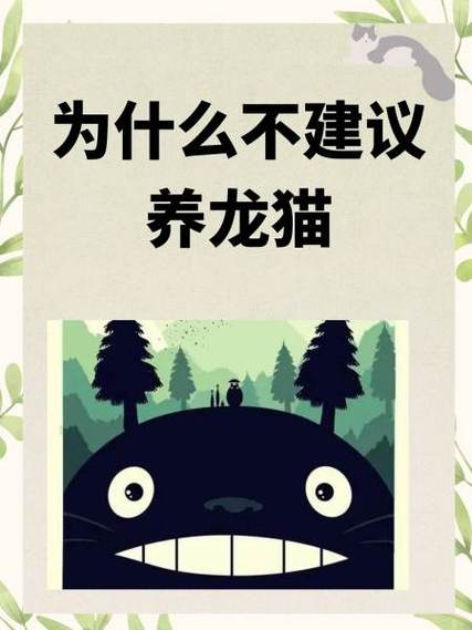 龙猫容易养活吗