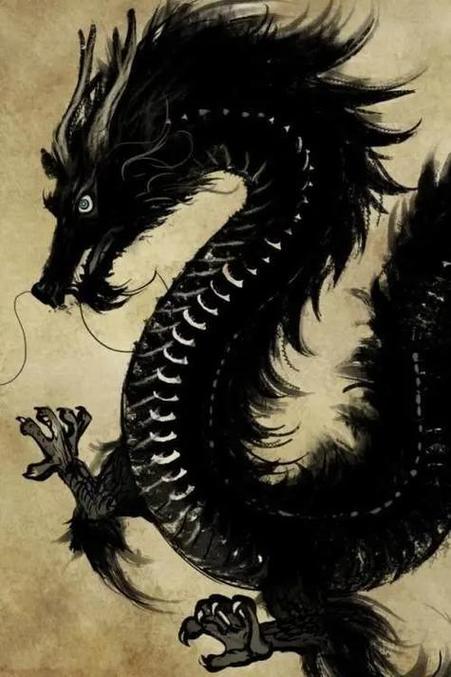 梦见黑龙不是一般人