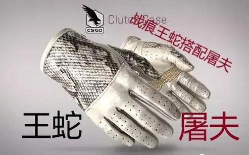 csgo王蛇配什么刀