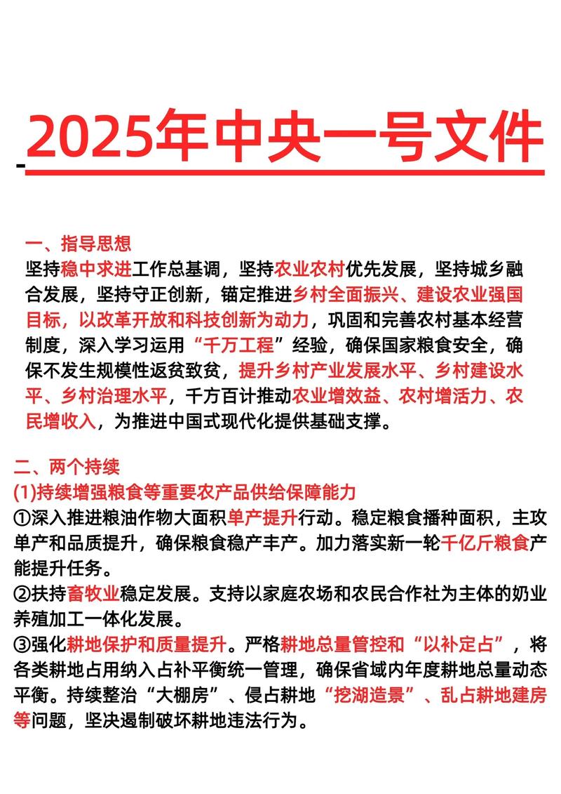 中央一号红头文件内容