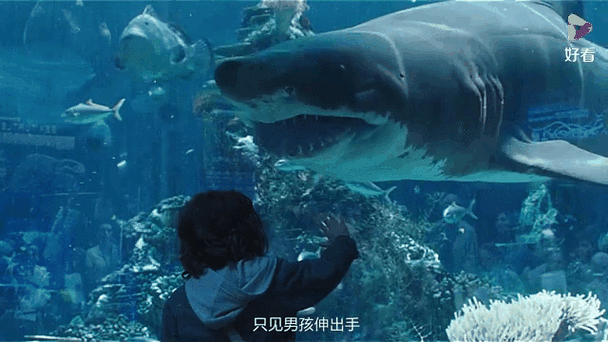 亚特兰蒂斯人还在吗截图3