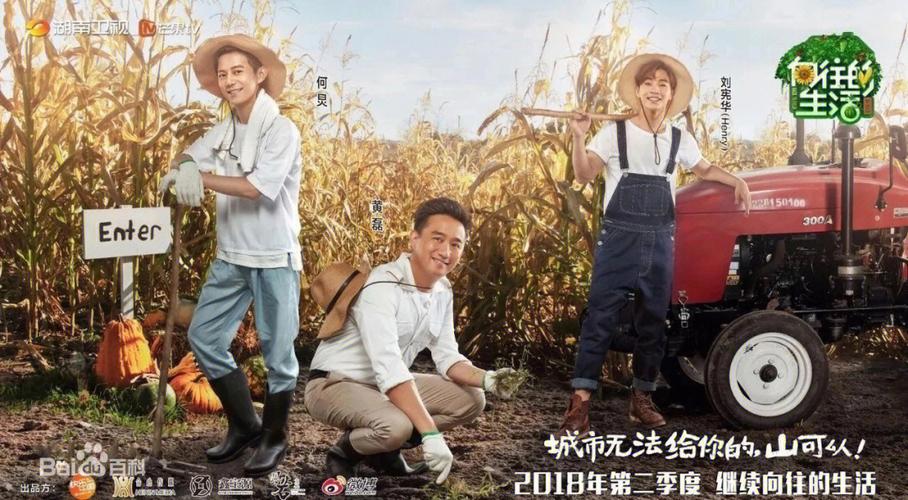 向往的生活之征服系统