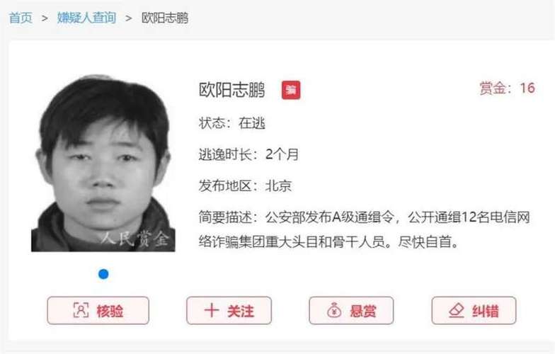 多多悬赏2022