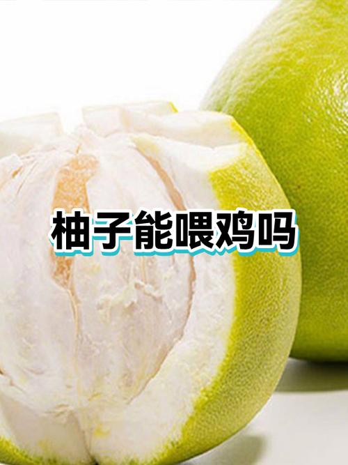 柚子在体内代谢需要多久