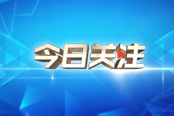 今日看料-回家路-今日关注-关注最新