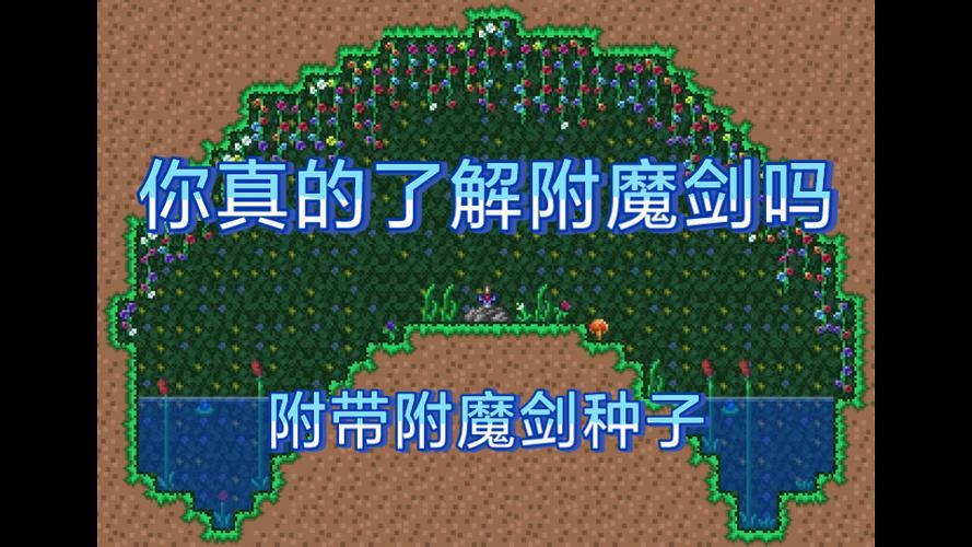 附魔剑种子有哪些