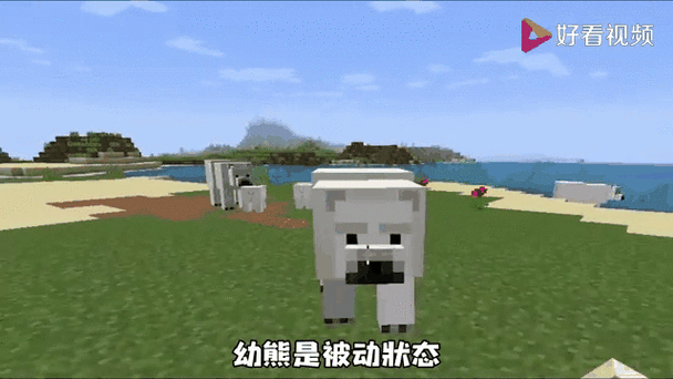我的世界伊叩熊熊荣耀