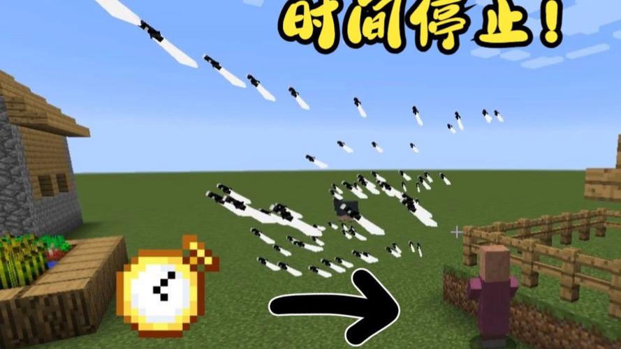 时间暂停超遍全班我的世界