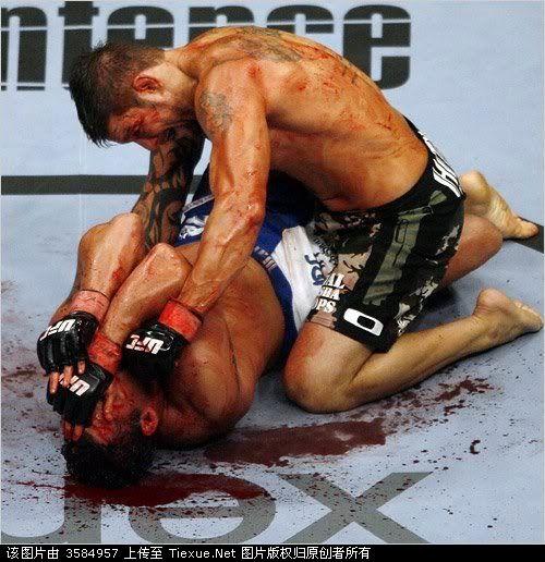 ufc终极格斗在线观看