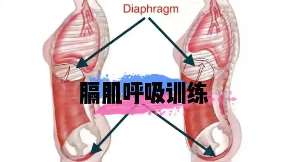 唱歌横膈肌怎么用力