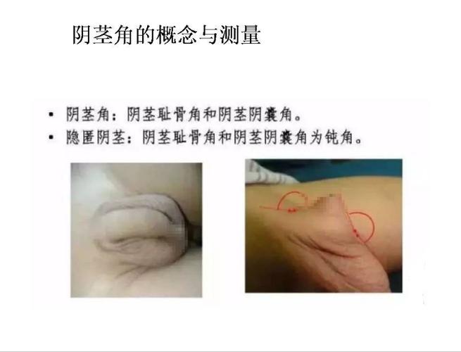 手机关机之后qq还会显示在线吗