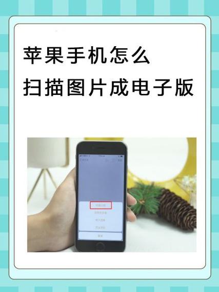 苹果手机的扫描功能怎么用