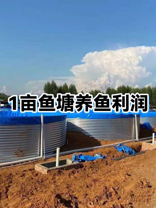 承包鱼塘养鱼赚钱吗