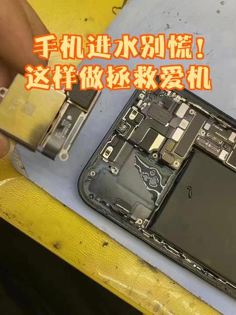 手机进水没声音了能修好吗